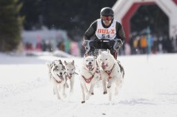 Lenzerheide 2013